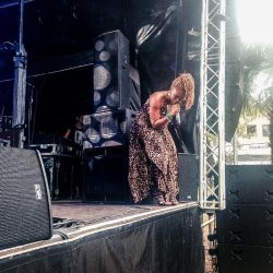 Shuga Reeds Festival 1